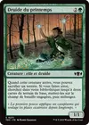 Product image for Druide du printemps