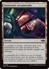 Product image for Immensité terramorphe