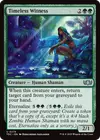 Product image for Timeless Witness