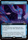 Product image for Bibliophile vorace