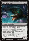 Product image for Crocodile paré