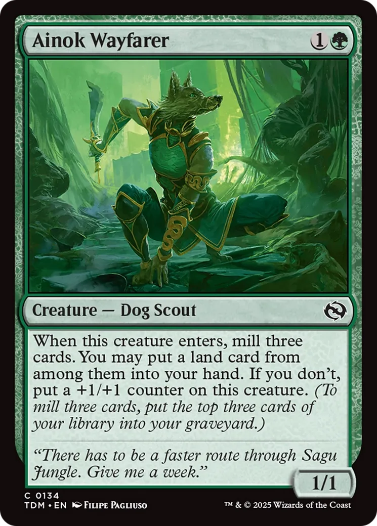 Ainok Wayfarer — Tarkir: Dragonstorm — Magic: The Gathering