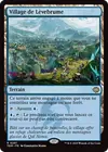 Product image for Village de Lèvebrume