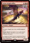 Product image for Scion oragécailles