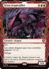 Product image for Scion oragécailles