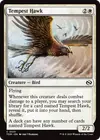 Product image for Tempest Hawk