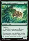 Product image for Undergrowth Leopard
