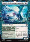 Product image for Couvée de la tempête tornaile // Envol dynamique