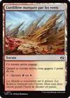 Product image for Cordillère marquée par les vents