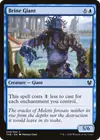 Product image for Brine Giant