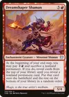 Product image for Dreamshaper Shaman