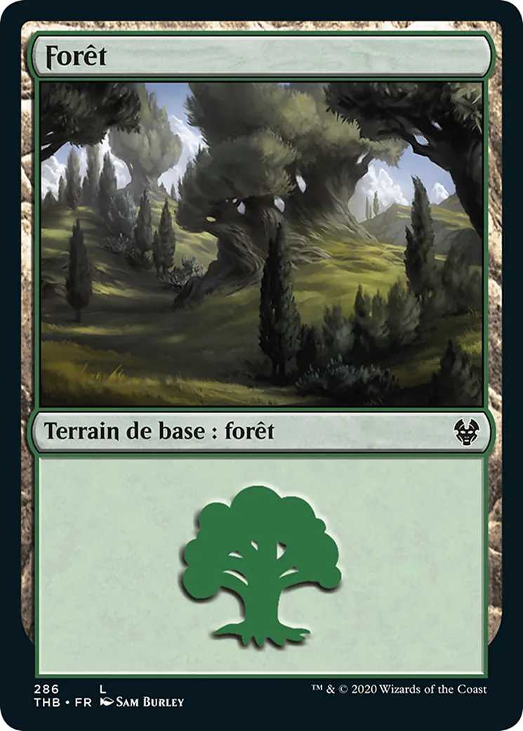 Forêt — Theros Beyond Death — Magic: The Gathering