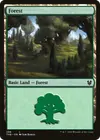Product image for Forest