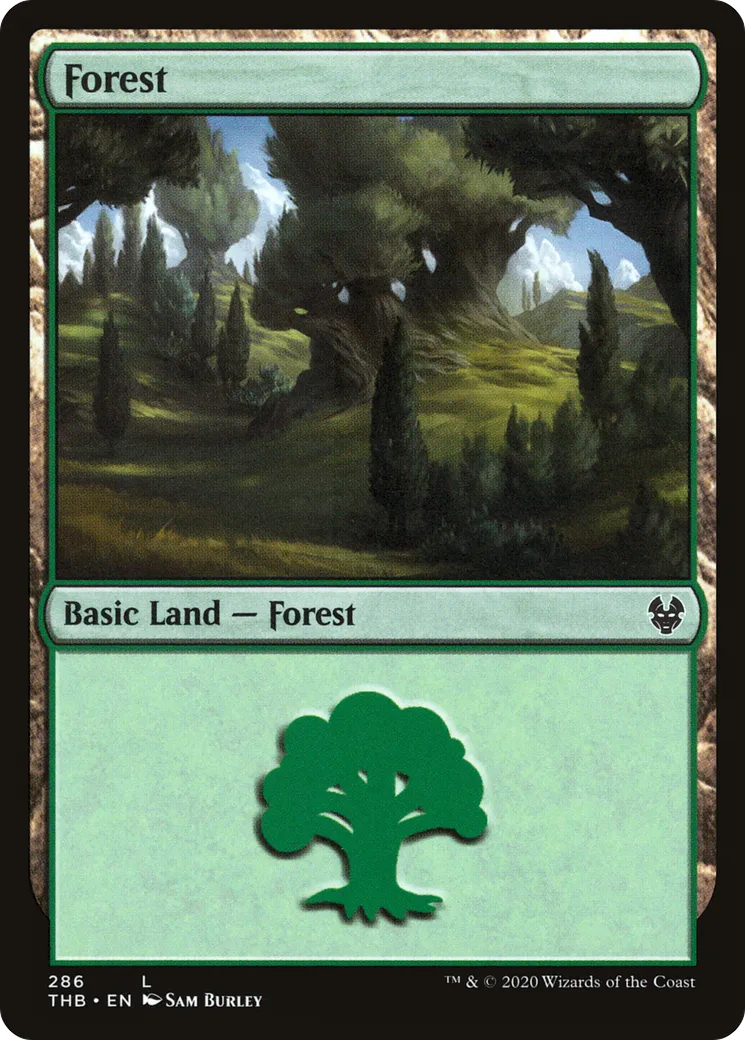 Forest — Theros Beyond Death — Magic: The Gathering