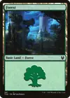 Product image for Forest