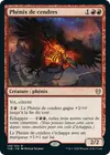 Product image for Phénix de cendres