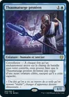 Product image for Thaumaturge protéen