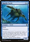 Product image for Riptide Turtle
