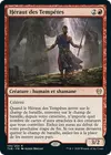 Product image for Héraut des Tempêtes