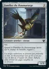 Product image for Familier du thaumaturge
