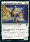 Product image for Représentant transcendant