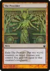 Product image for The Provider