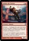 Product image for Athlète de l'arène