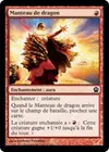Product image for Manteau de dragon