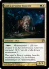 Product image for Lion à crinière bouclée