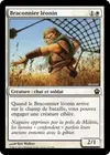 Product image for Braconnier léonin