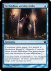 Product image for Perdu dans un labyrinthe