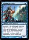 Product image for Triton brisevague