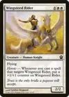 Product image for Wingsteed Rider