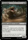 Product image for Crocochat