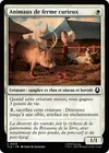 Product image for Animaux de ferme curieux