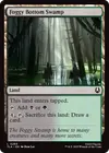 Product image for Foggy Bottom Swamp