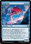 Product image for Giant Koi
