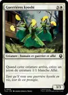 Product image for Guerrières kyoshi