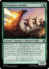 Product image for Prisonniers rebelles