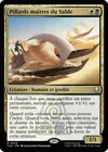 Product image for Pillards maîtres du Sable