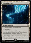 Product image for Tunnel secret