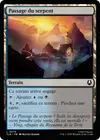 Product image for Passage du serpent