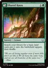 Product image for Shared Roots