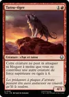 Product image for Tatou-tigre