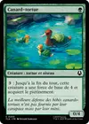 Product image for Canard-tortue