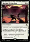 Product image for Héritage de duelliste
