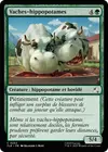 Product image for Vaches-hippopotames