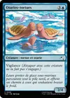 Product image for Otaries-tortues