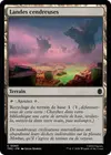 Product image for Landes cendreuses