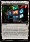 Product image for Étendues sauvages en évolution